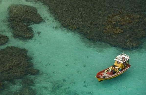 Passeio de Barco pelas Gal�s de Maragogi - Salinas de Macei�/ Divulga��o