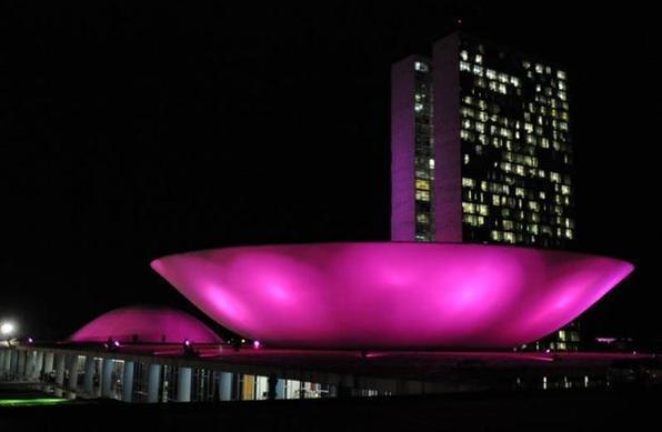 O Congresso Nacional é outro monumento iluminado em homenagem ao movimento  - Carlos Moura/CB/D.A Press