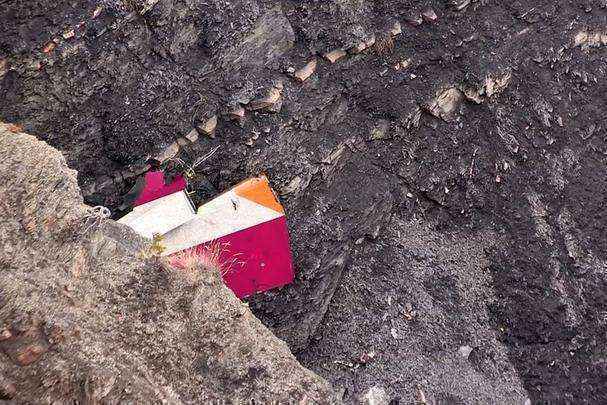 Imagem mostra o estabilizador vertical da aeronave