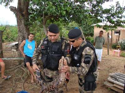  (PMDF/Divulgação)