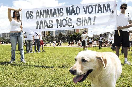 Os manifestantes levaram faixas de protesto, camisetas, além de bichos de estimação, como cães e gatos