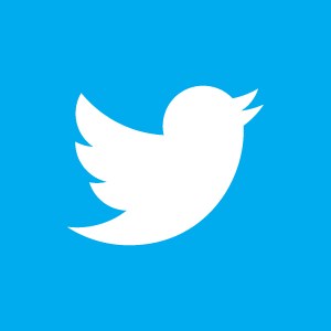 Twitter revela novo logo: simplifica passarinho azul e elimina a letra 