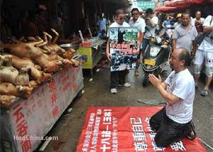 O artista Pian Shan se ajoelha diante dos animais abatidos (www.hugchina.com/reprodução)
