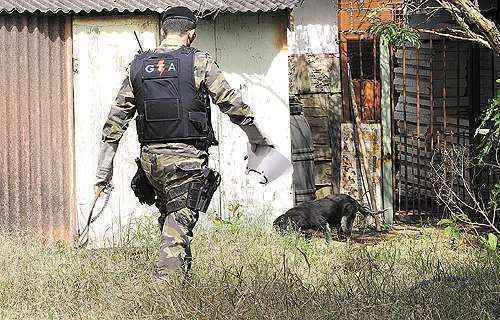 PM da Polícia Militar Ambiental pulou o muro da casa para salvar o animal: 'Ele não foi agressivo, pelo contrário, é dócil. Não tivemos problemas' (Carlos Moura/CB/D.A Press)