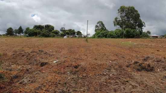 Parte do terreno que iria ser parcelado e vendido por R$ 10 milhões (Seops/Divulgação)