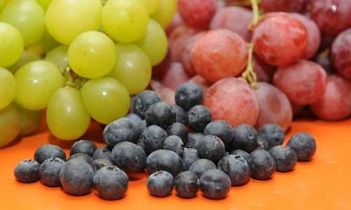 Geralmente menor que as uvas, o mirtilo é plantado principalmente no Rio Grande do Sul (Zuleika de Souza/CB/D.A Press)