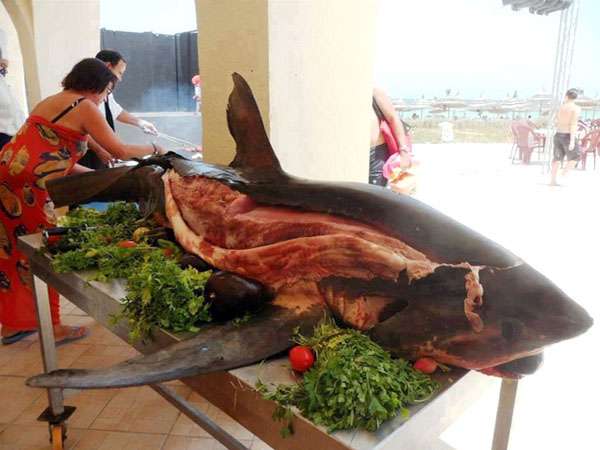 Na foto é possível ver o tubarão sendo servido inteiro para os hóspedes de um resort tunisiano (Imgur/Reprodução)