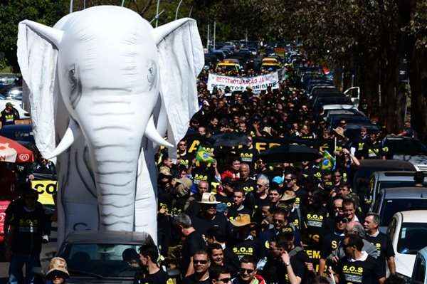 De novo: policiais federais levaram elefantes brancos infláveis à Esplanada em protesto realizado em junho de 2013 (Ronaldo de Oliveira/CB/D.A Press)