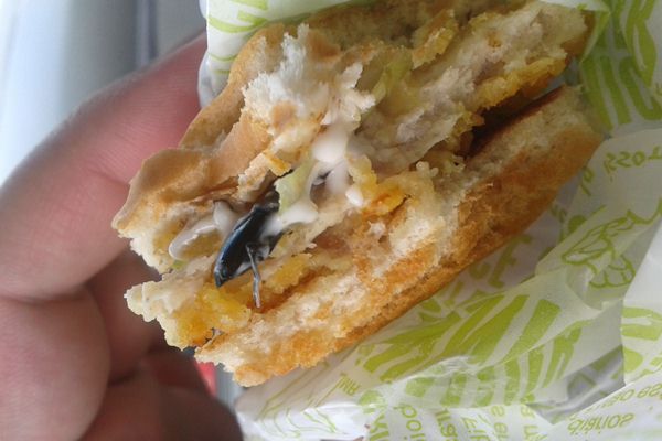 'Fiquei com o estômago embrulhado', diz leitor que encontrou inseto em sanduíche (Felipe Gomes/Divulgação)