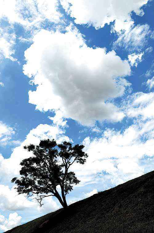 Campanha visa a homenagear Brasília com imagens do céu (Zuleika de Souza/CB/D.A Press
)
