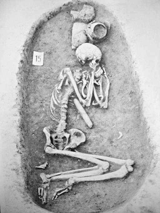 Esqueleto de 5 mil anos analisado no estudo britânico: a caça para a sobrevivência demandava uma estrutura corporal mais forte (Alison Macintosh/Divulgação)