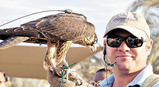 Na falconaria, as aves adestradas voam sob o comando de um instrutor: modalidade amada pelos sheiks