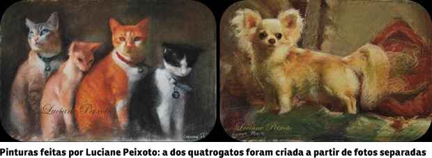 Por meio de pinturas, fotografias ou outras expressões de arte, donos recorrem a artistas para homenagear os seus pets