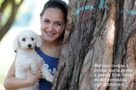 Nos dias mais frios e secos, é importante ficar atento à saúde do pet. Gripes e resfriados são comuns e têm sintomas parecidos com os apresentados em humanos