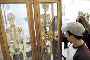 A visita ao Laboratório de Anatomia é uma das atividades do Tour Científico, realizado pela UnB