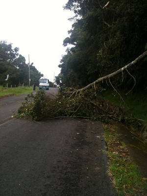 Rua que vai ao Parque Nacional Volcán Poás, na Costa Rica