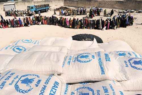 Somalis fazem fila para receber alimentos doados pelas Nações Unidas: África Subsaariana se mantém como um dos pontos críticos da luta contra a desnutrição