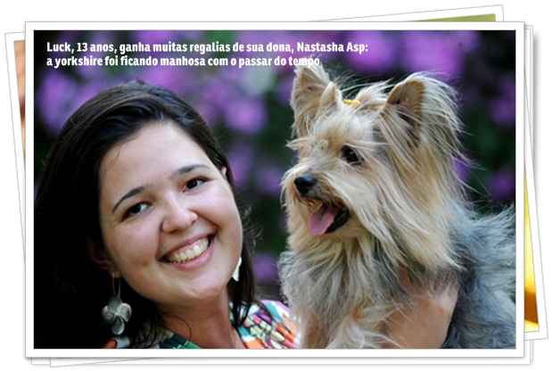 A melhor idade canina depende, principalmente, do tratamento dispensado pelos donos dos animais