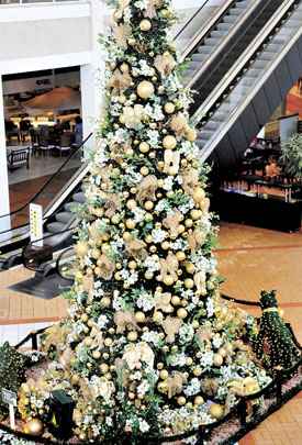 Em um dos shoppings do DF,  a estrutura chega até ao segundo andar