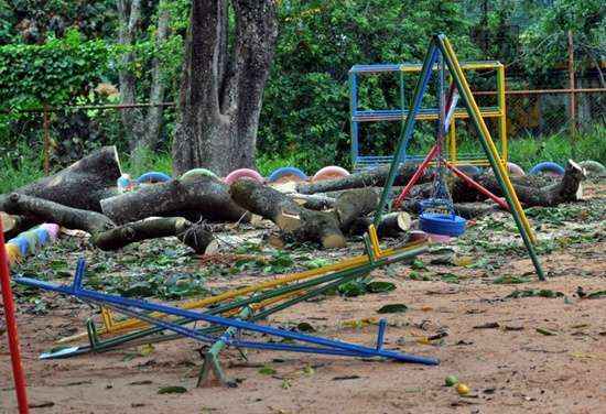 Brinquedos de parquinho de escola na Asa Sul são destruídos depois que árvore cai sobre eles na tarde desta segunda-feira (10/12)