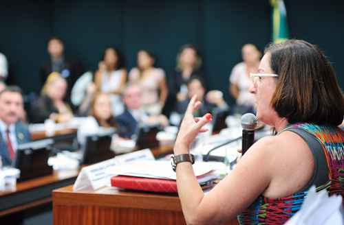 Madalena Guasco, da Confederação dos Trabalhadores em Estabelecimentos de Ensino, em audiência na Câmara: coordenadora defende controle do MEC sobre os projetos pedagógicos