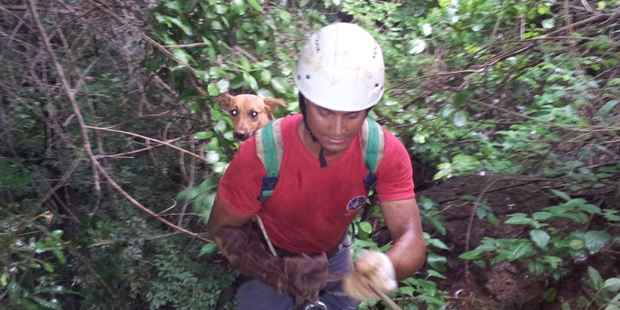 Apesar de desidratado, o animal não apresentava nenhuma lesão aparente