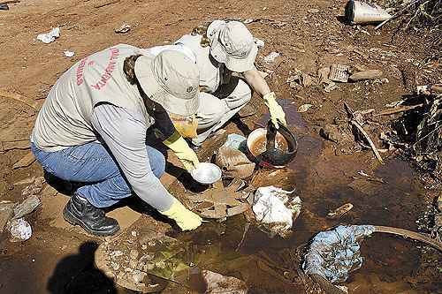 Agentes em Londrina fazem coleta à procura de larvas. Cinco municípios do Paraná estão em epidemia. Estado destinou R$ 4,2 milhões para conter a doença