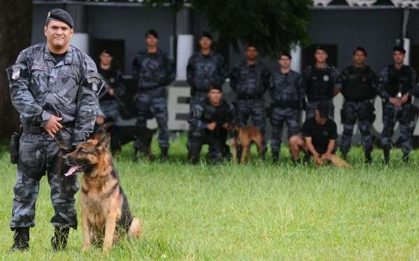 No quartel do BPCães, o cachorro é treinado e torna-se companhia indispensável do trabalho policial nas operações de busca e apreensão