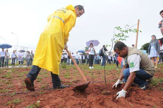 Mudas foram plantadas no Parque Bosque, Sudoeste