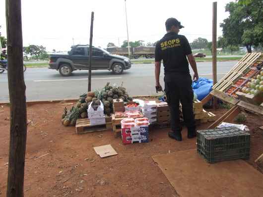 Venda irregular de frutas na Epia Norte