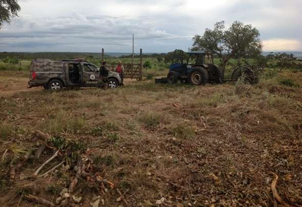 Após denúncia anônima, o Grupamento Tático Ambiental da Polícia Militar flagrou desmatamento de três hectares de mata nativa próximo ao Vale do Amanhecer