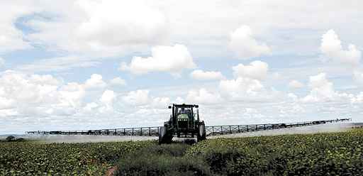 Lavoura em Cristalina (GO) usa pesticida sem toxina: alimentos com mais qualidade