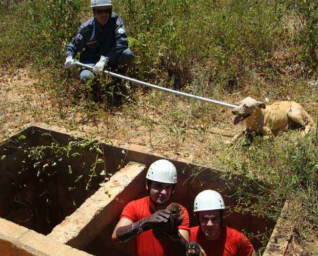 O resgate inusitado foi no Bairro Jaraguá em Montes Claros. Um morador sensibilizado com a situação, decidiu adotar os animais