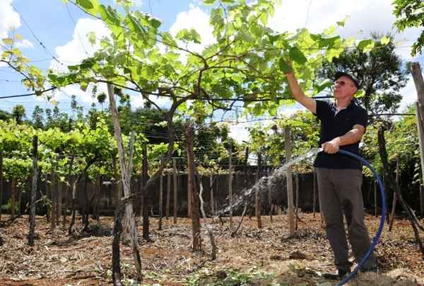 Antônio Salvador investiu em uma miniestação de tratamento de esgoto que devolve água limpa para o jardim