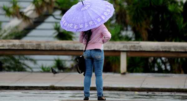 A temperatura deve ser em torno de 18ºC durante as madrugadas e 26ºC no período da tarde