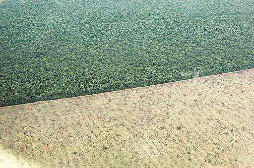 Parte da Amazônia desmatada: para os autores do estudo, intervenção em situações de conflito pela posse da terra deve ser imediata