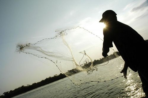 Pescador joga sua rede no rio São Francisco.