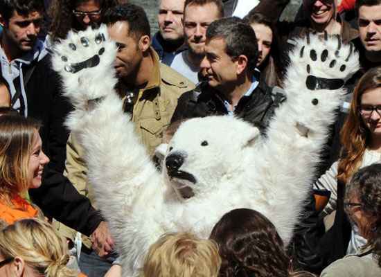 Um voluntário vestido com uma fantasia de urso polar em Paris quer chamar os líderes políticos para proteger o Ártico