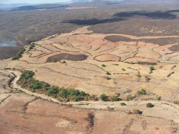 O Dia Nacional da Caatinga é comemorado em 28 de abril