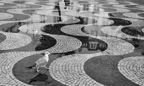 A praça lisboeta foi palco de um balé de anônimos fotografados ao longo de algumas horas por Girafa