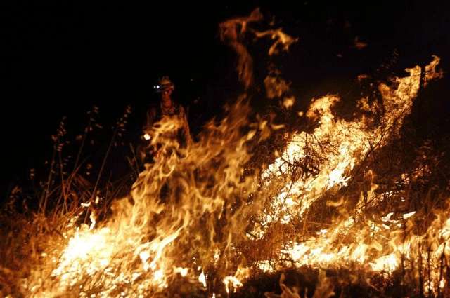O fogo, que destruiu mais de 4.000 hectares de vegetação pela manhã, atingia outros 7.300 hectares na noite desta sexta-feira