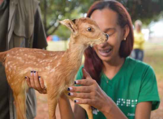 Aluna  do Centro Educacional Setor Leste de Brasília tem a experiência de enxergar um animal do zoológico