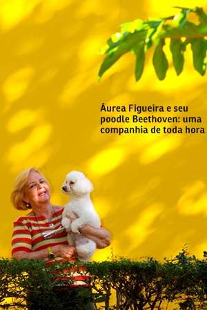 Quando os filhos crescem e se mudam de casa, ou em situações de perda em geral, a presença de um animal de estimação aquece nossos corações