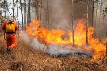 Incêndios são frequentes na época da seca