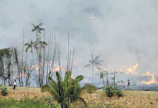 Queimada na Amazônia: clima seco e temperatura mais alta no Oceano Atlântico aumentam a probabilidade de incêndios