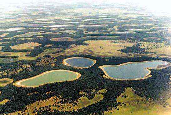 O potencial hídrico do Pantanal, maior planície úmida do mundo, atrai cada vez mais usinas de pequeno porte