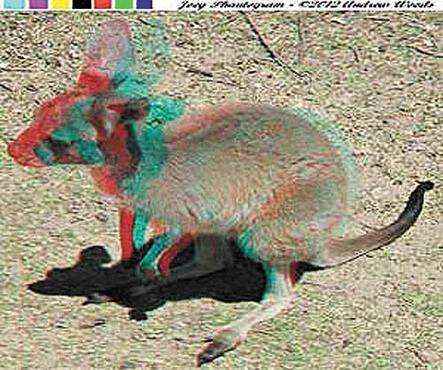 Imagem impressa na antiga técnica de anaglyph: para óculos coloridos