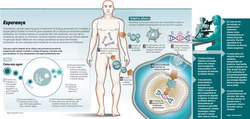 Ágeis, os vetores chegaram aos locais desejados do corpo humano, levando genes capazes de amenizar as enfermidades