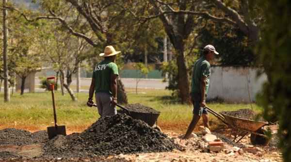 A invasão se intensificou a partir de 2007. Especialistas destacam a necessidade urgente de remoção das casas construídas na área