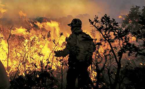 Nesse período, os bombeiros precisam estar sempre a postos para combater as chamas em áreas verdes, que consumiram 6,8 mil hectares em 2012